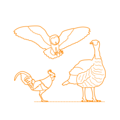 Animals Terrestrial Birds Contour Svg Vector, Free Vectors File